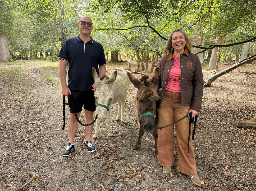Brockenhurst Donkey Walks-Brockenhurst必去景点