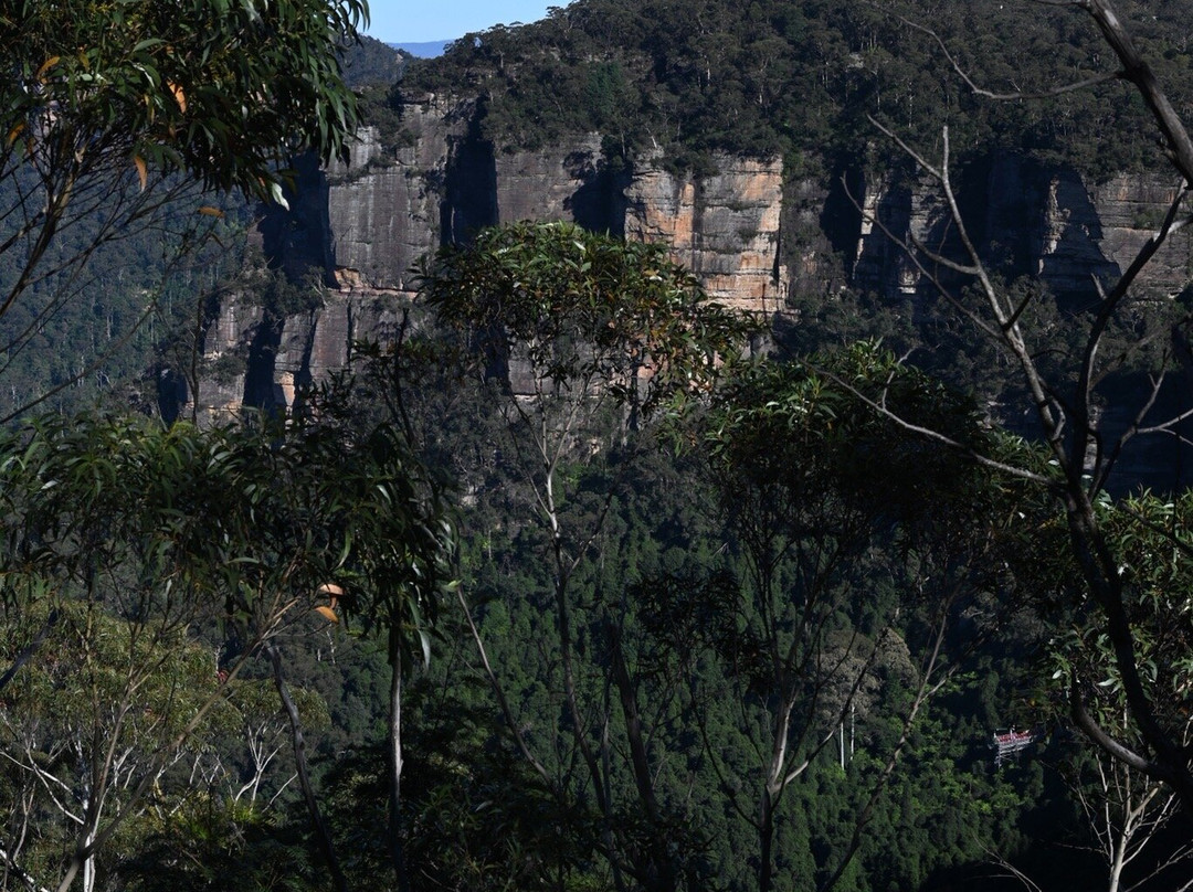 Blue Mountains Tours-格兰布鲁克必去景点