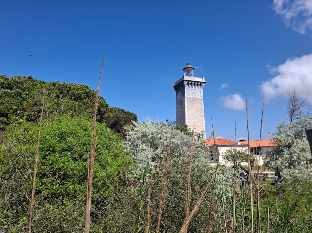 Phare de l'Espiguette-勒格罗迪鲁瓦必去景点