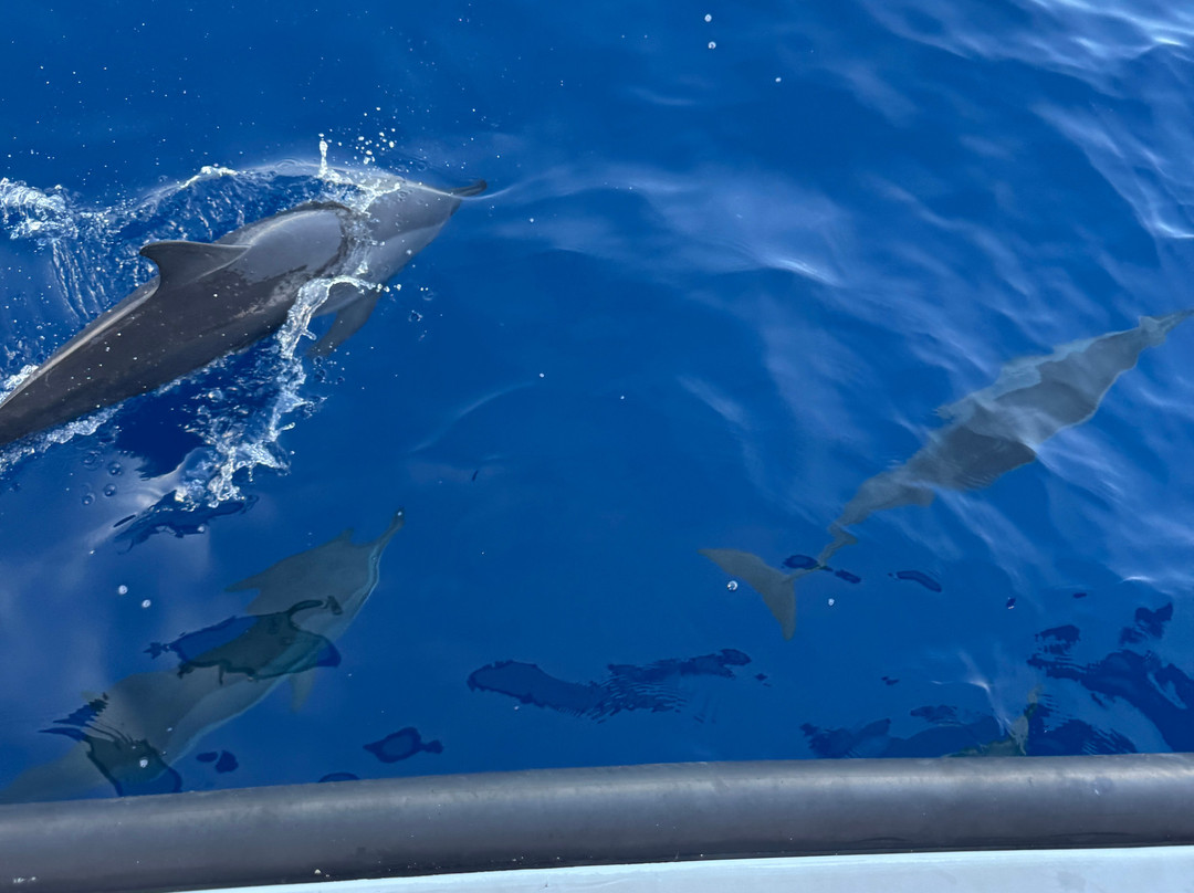 Sub Oceanic at Le Méridien Maldives Resort & Spa-Thilamaafushi必去景点