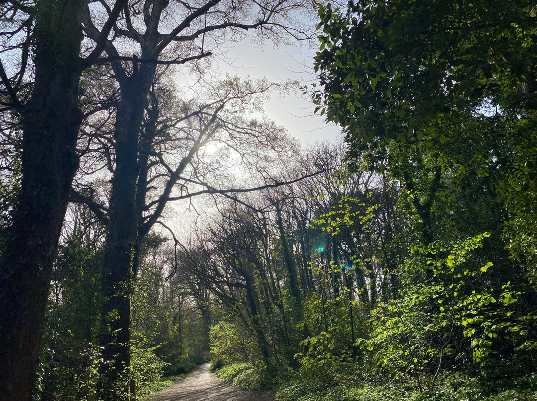 Saltram (National Trust)-普利茅斯必去景点