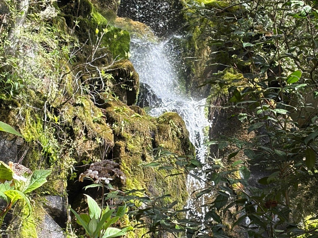 箱根小涌园天悠旅馆主图