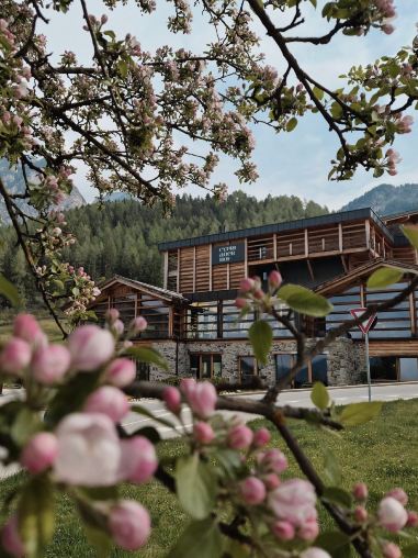 Cyprianerhof Dolomit Resort-旅行者