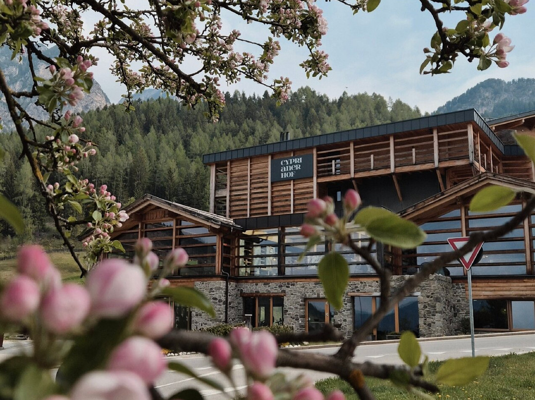 Cyprianerhof Dolomit Resort主图