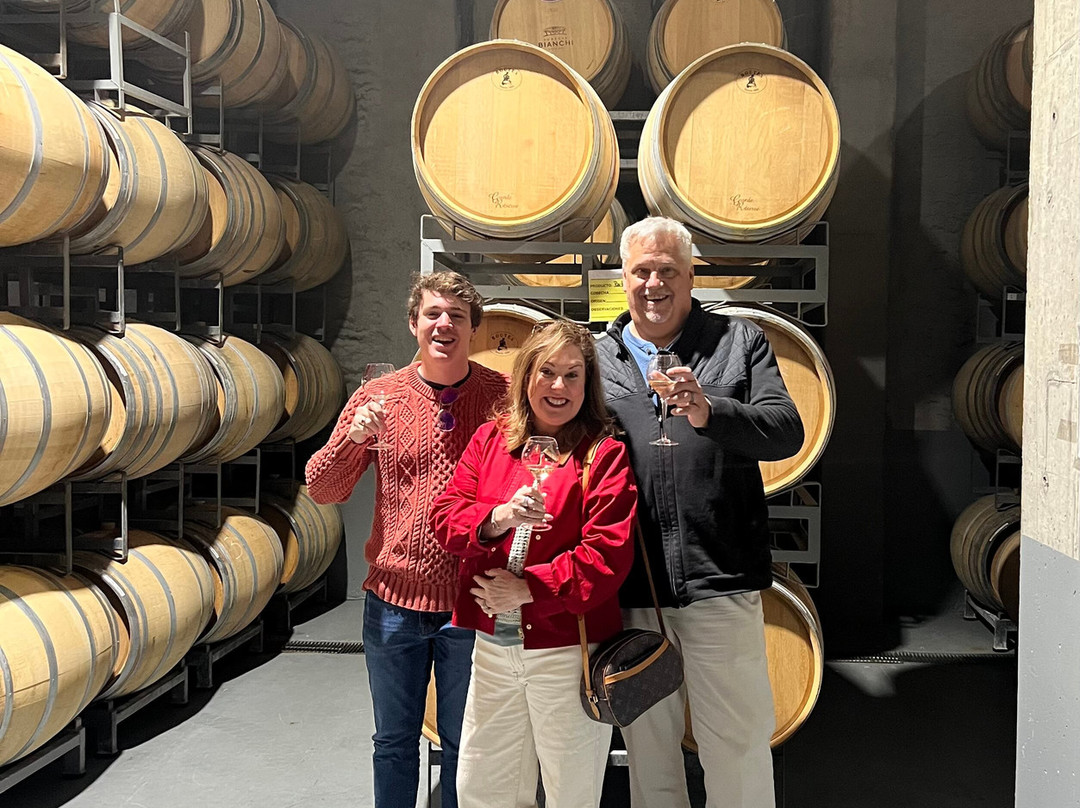 Borravino Wine Tours Argentina-门多萨必去景点