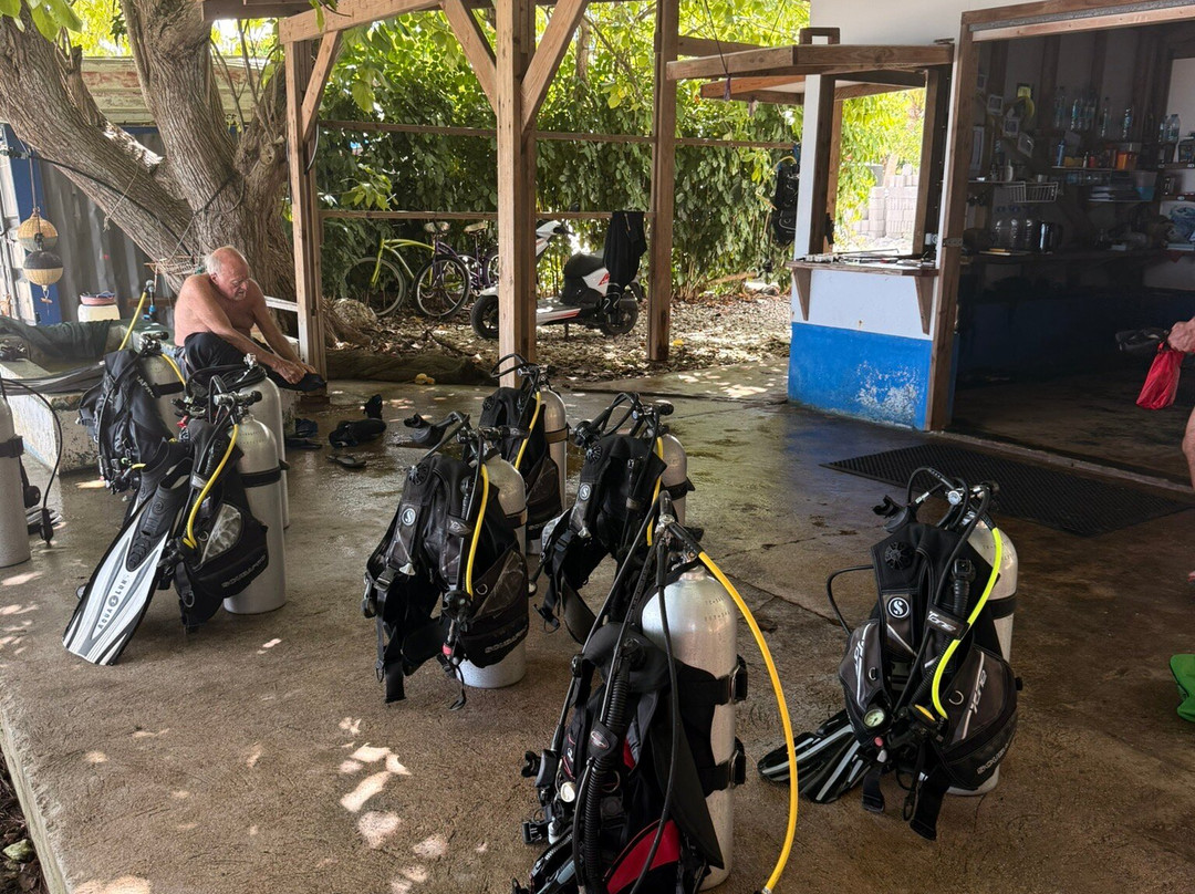 Raie Manta Club Rangiroa-阿瓦托鲁必去景点