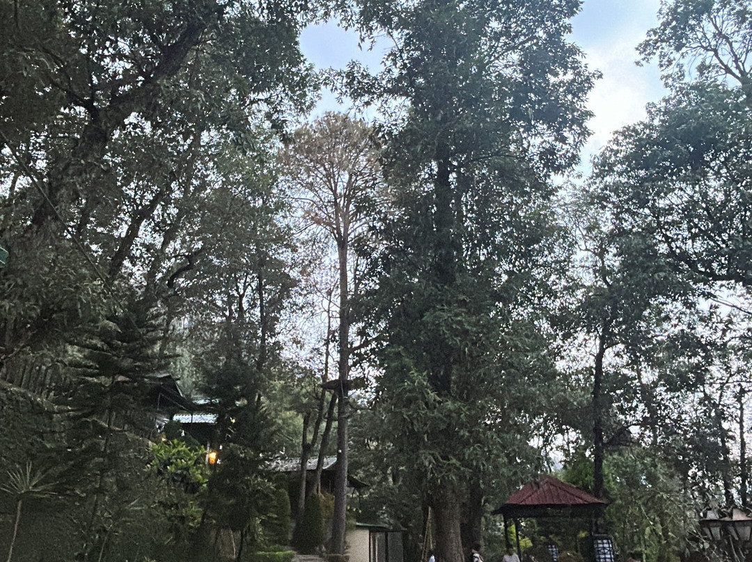 费恩半山度假村主图