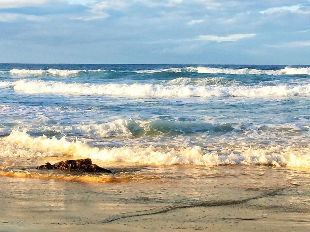 Narooma Surf Beach