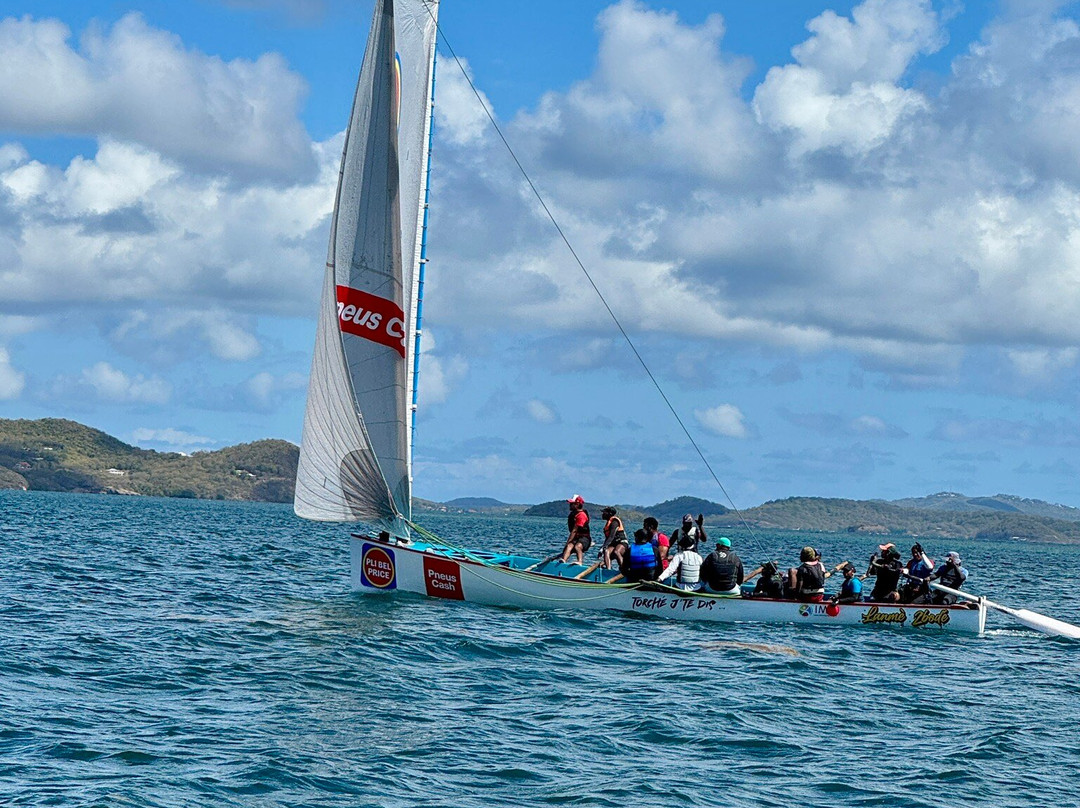 Matt'Excursions Nautiques-Le Francois必去景点