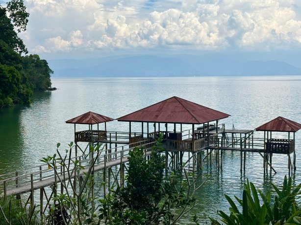 Dolidi Ndano Towale-旅行者