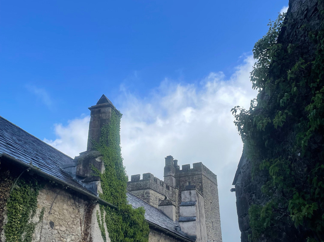Sizergh Castle-肯德尔必去景点