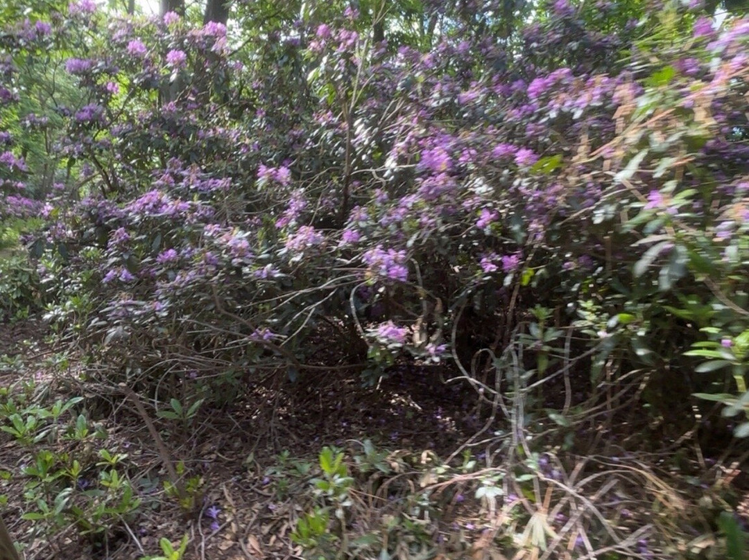 Watatunga Wildlife Reserve-金斯林必去景点