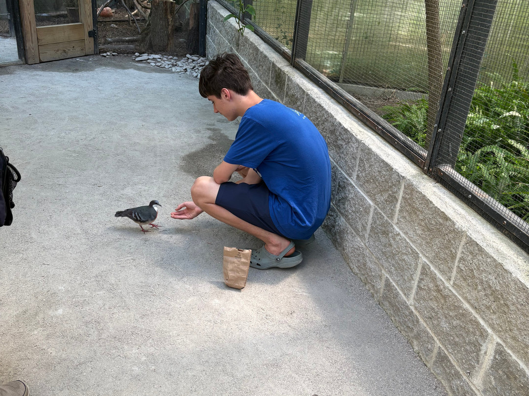 Sylvan Heights Bird Park-Scotland Neck必去景点