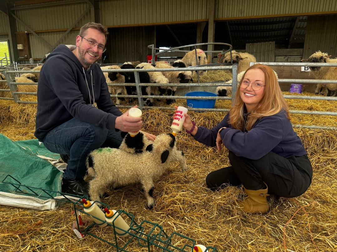 Meikle Westland Farm主图