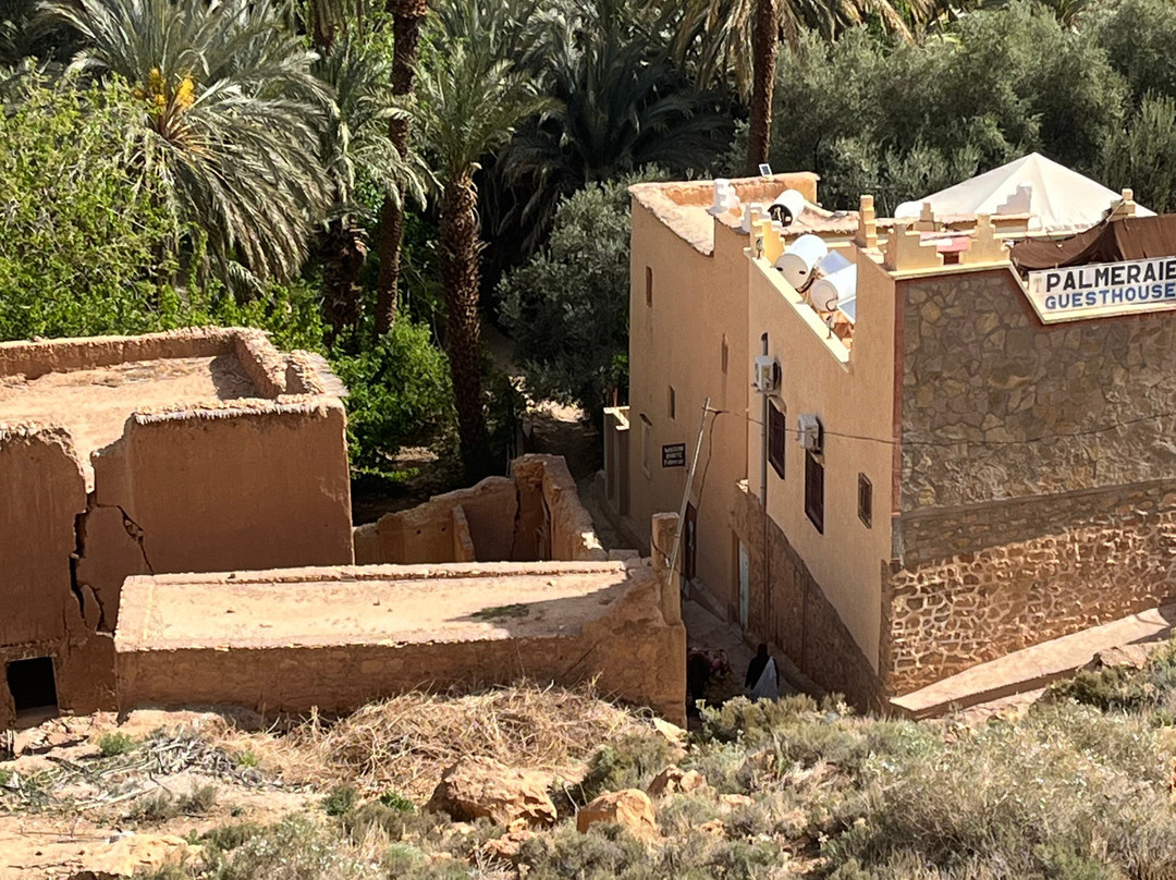 Marrakech Camel Trips-非斯必去景点
