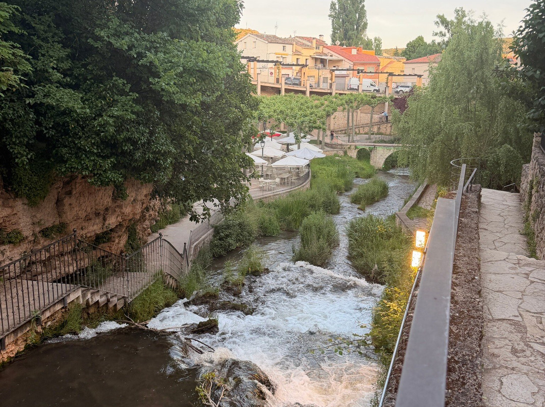 卡洛斯温泉 III 皇家酒店主图