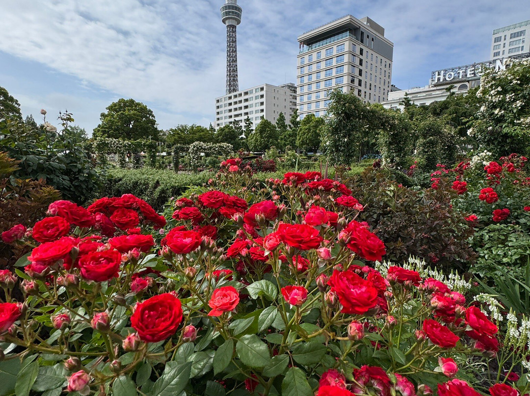 山下公园-横滨市必去景点