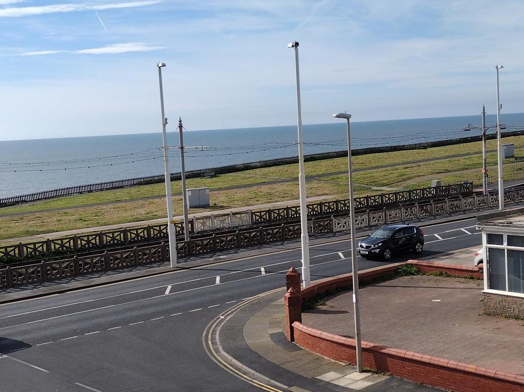 化石树酒店主图
