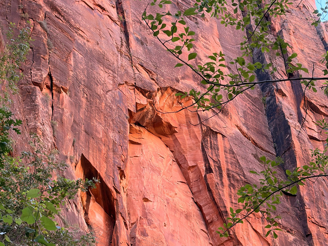 Grand Canyon Guru-Grand Canyon Village必去景点
