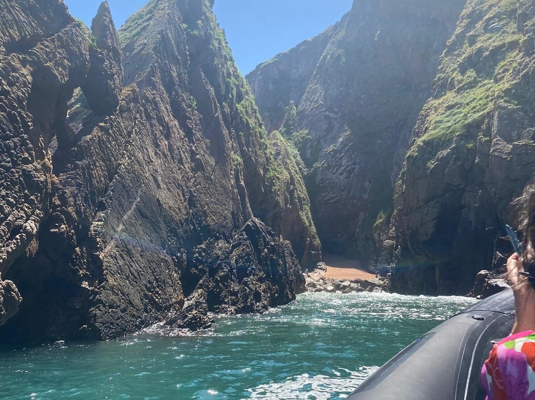 Jersey Seafaris-St. Martin必去景点