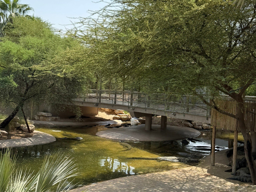 Dubai Crocodile Park-迪拜必去景点
