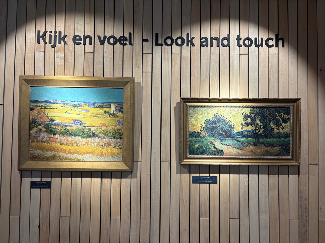 Van Gogh Village Museum-纽南必去景点
