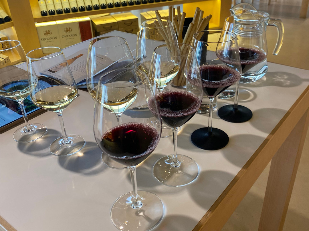 Bodegas Ontañón, El Templo del Vino-洛格罗尼奥必去景点