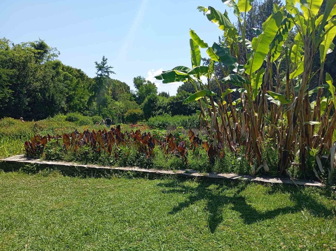 Botanical Garden Diomedes-查德利必去景点