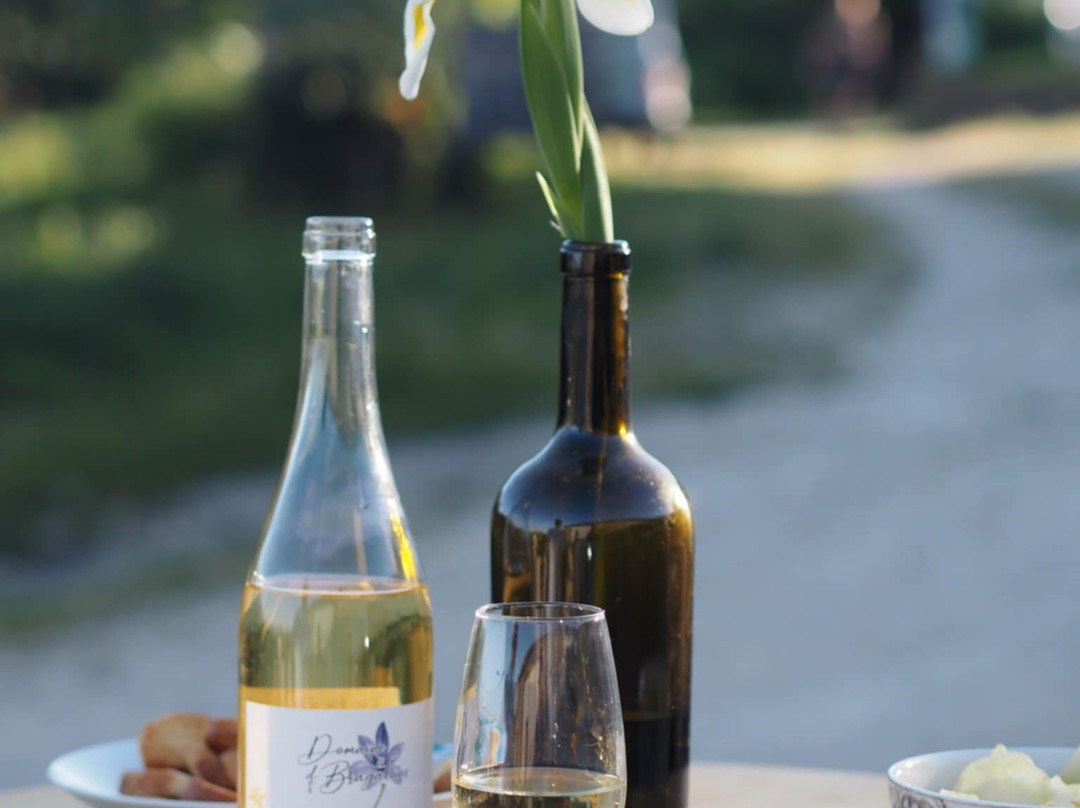 Domaine Des Bragalous-Saint-Sauveur-de-Cruzieres必去景点