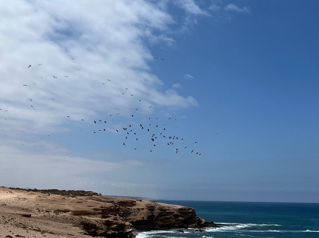 Parc Nacional de Souss-Massa-Takate必去景点