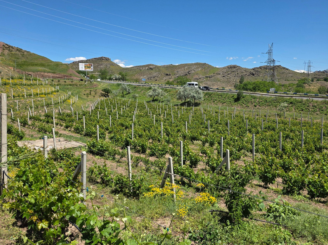 Old Bridge Winery-Yeghegnadzor必去景点