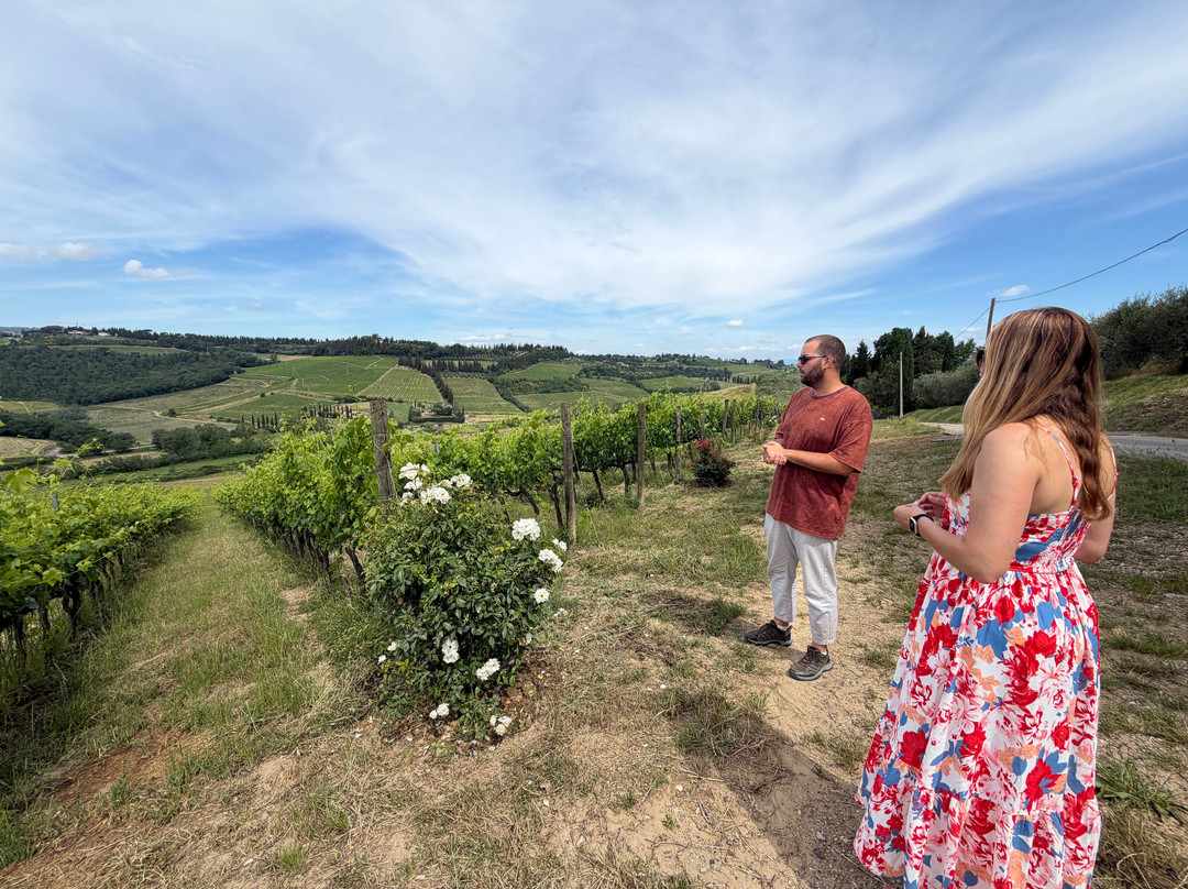 Poderi Arcangelo Winery-圣吉米尼亚诺必去景点