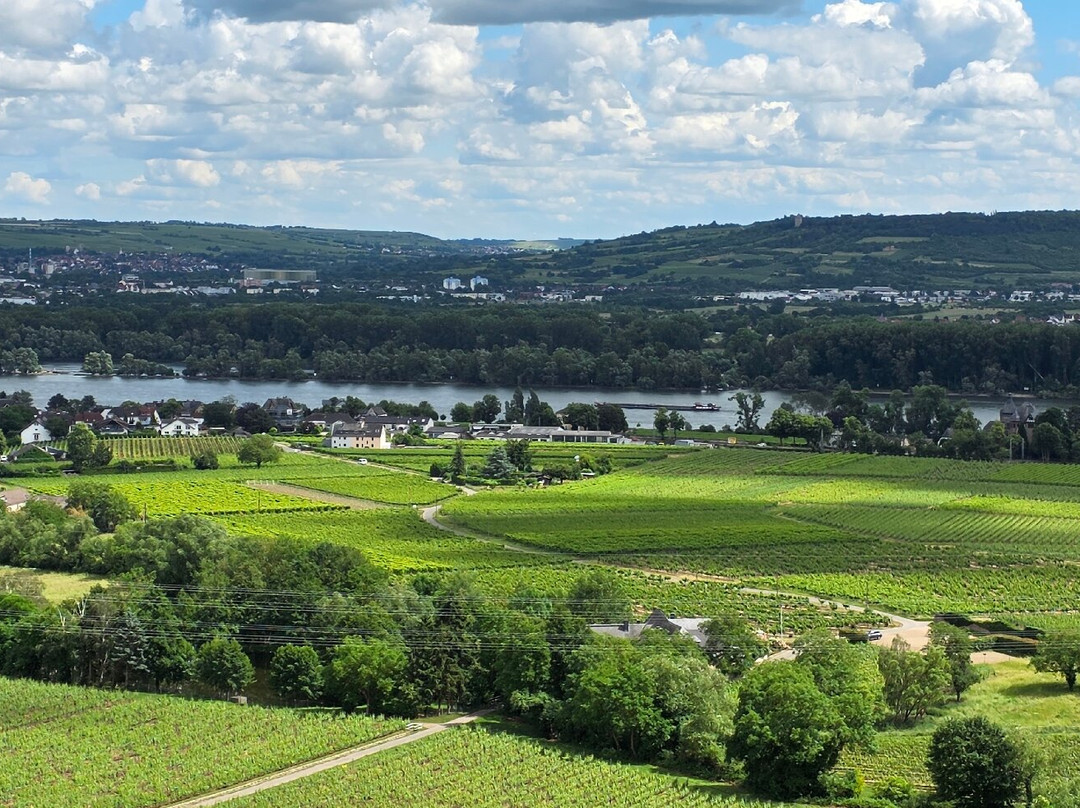 Schloss Johannisberg-盖森海姆必去景点
