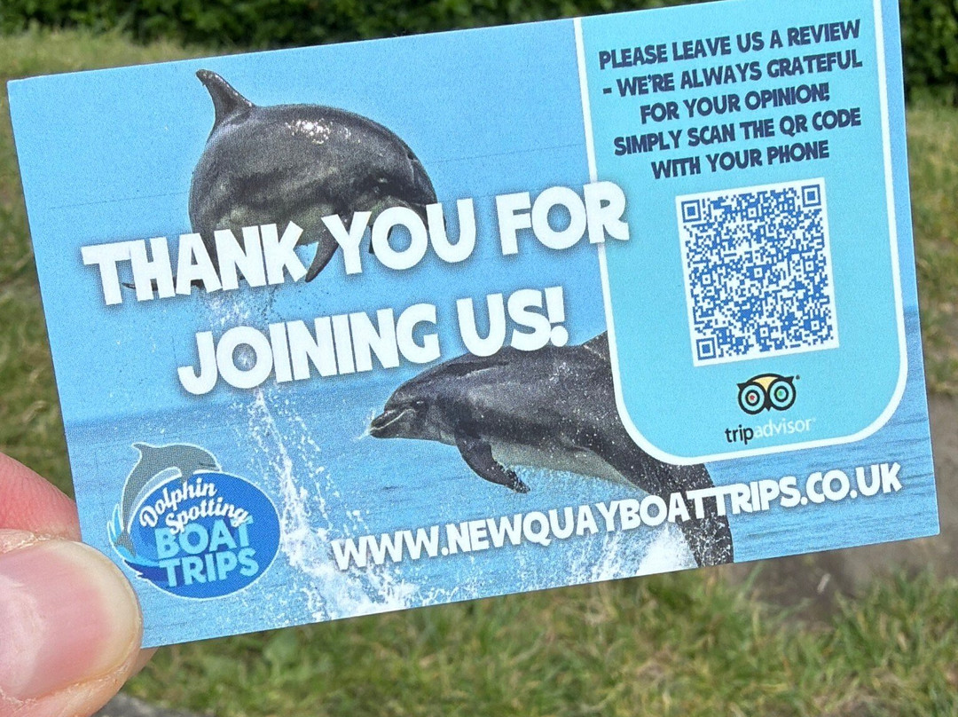 Dolphin Spotting Boat Trips (by New Quay Boat Trips)-纽基必去景点