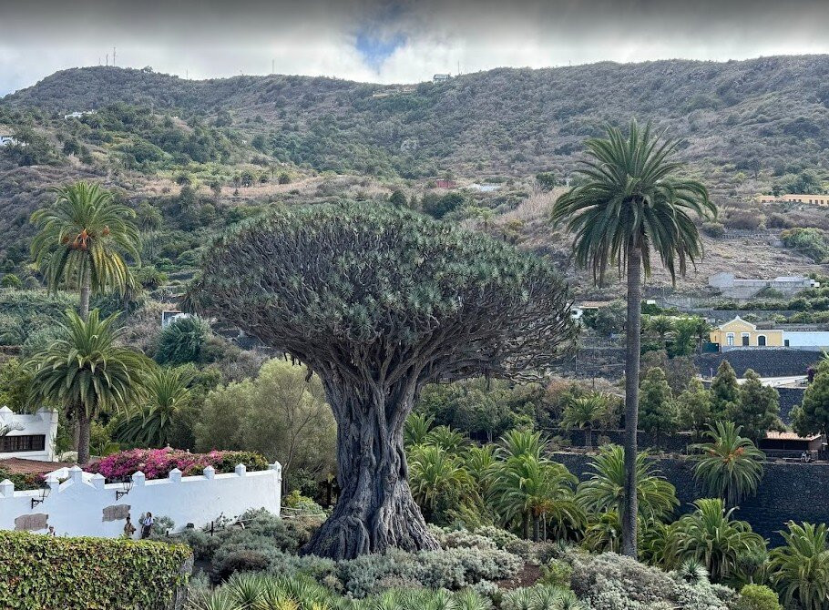 Tenerife 100 Cultures-特纳里夫必去景点