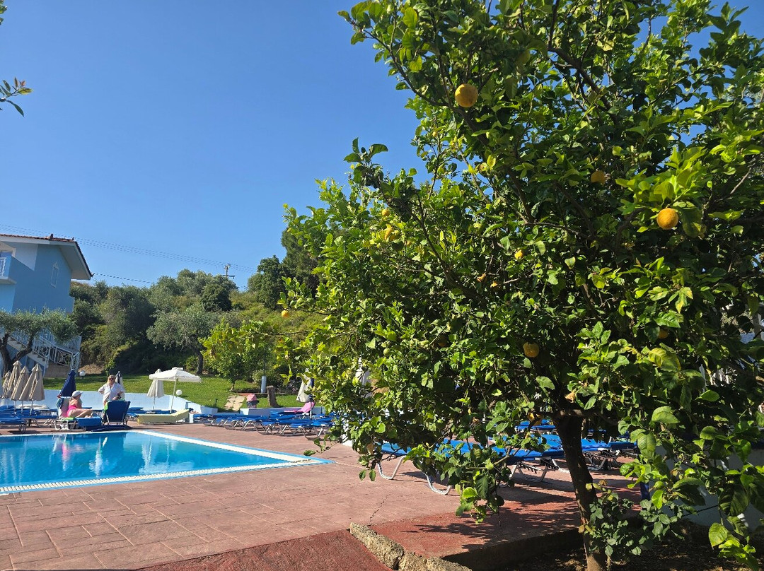 Filoxenia Hotel Apartments主图