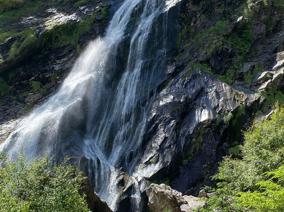 Powerscourt Waterfall-Enniskerry必去景点