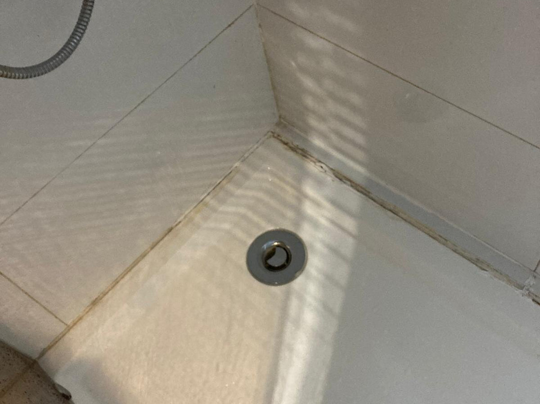 Infinium Zamora Suites主图