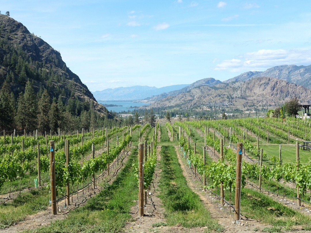 See Ya Later Ranch-Okanagan Falls必去景点