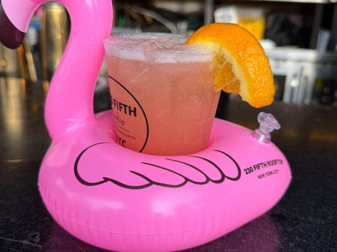 230 FIFTH ROOFTOP BAR NYC-纽约市必去景点
