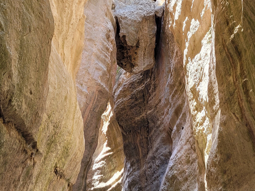 Avakas Gorge-帕福斯必去景点