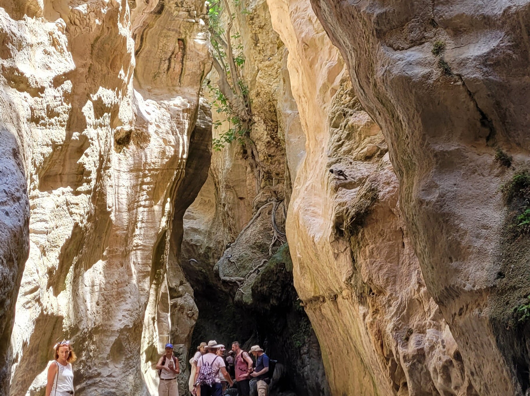 Avakas Gorge-帕福斯必去景点