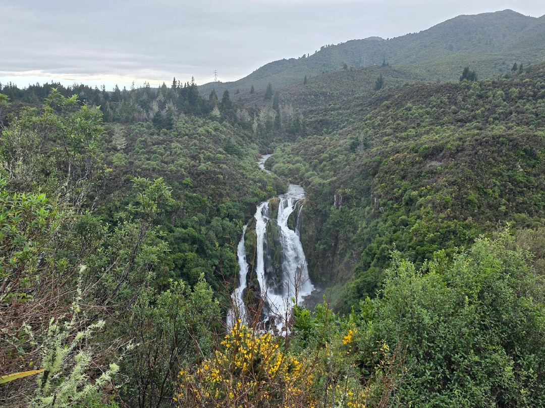 Waipunga Falls-怀卡托地区必去景点