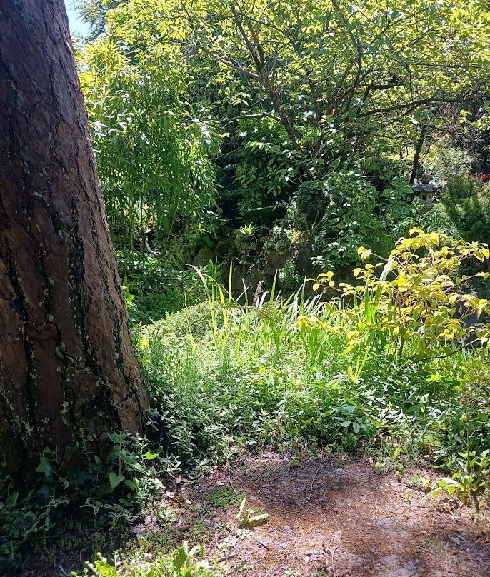 Irish National Stud & Gardens-Tully必去景点