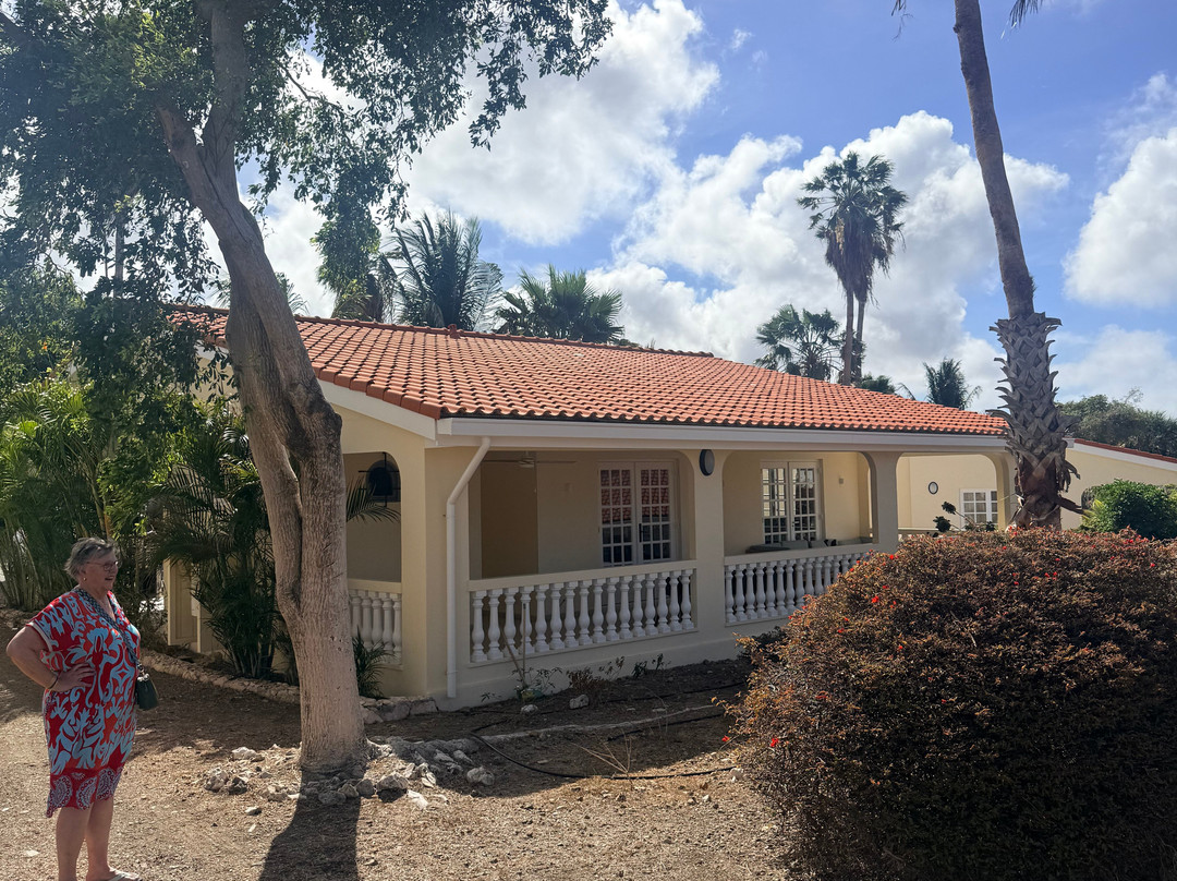 Mondi Jan Thiel Restaurant