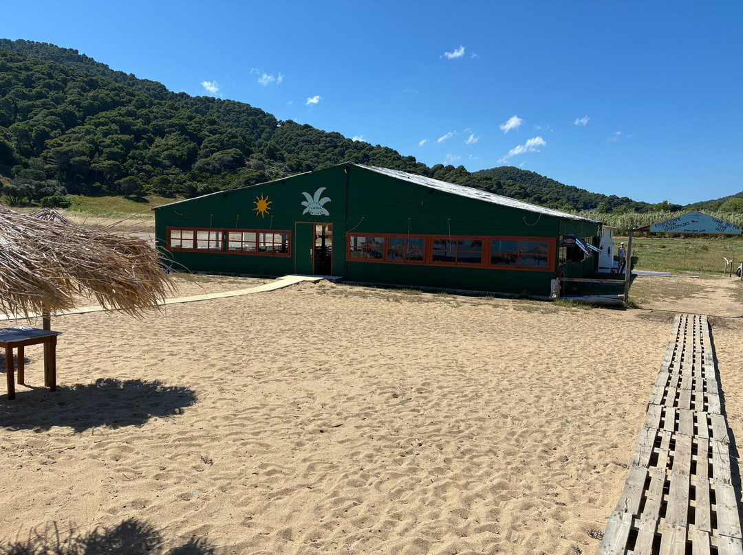 Megalos Aselinos Beach-斯亚索斯必去景点