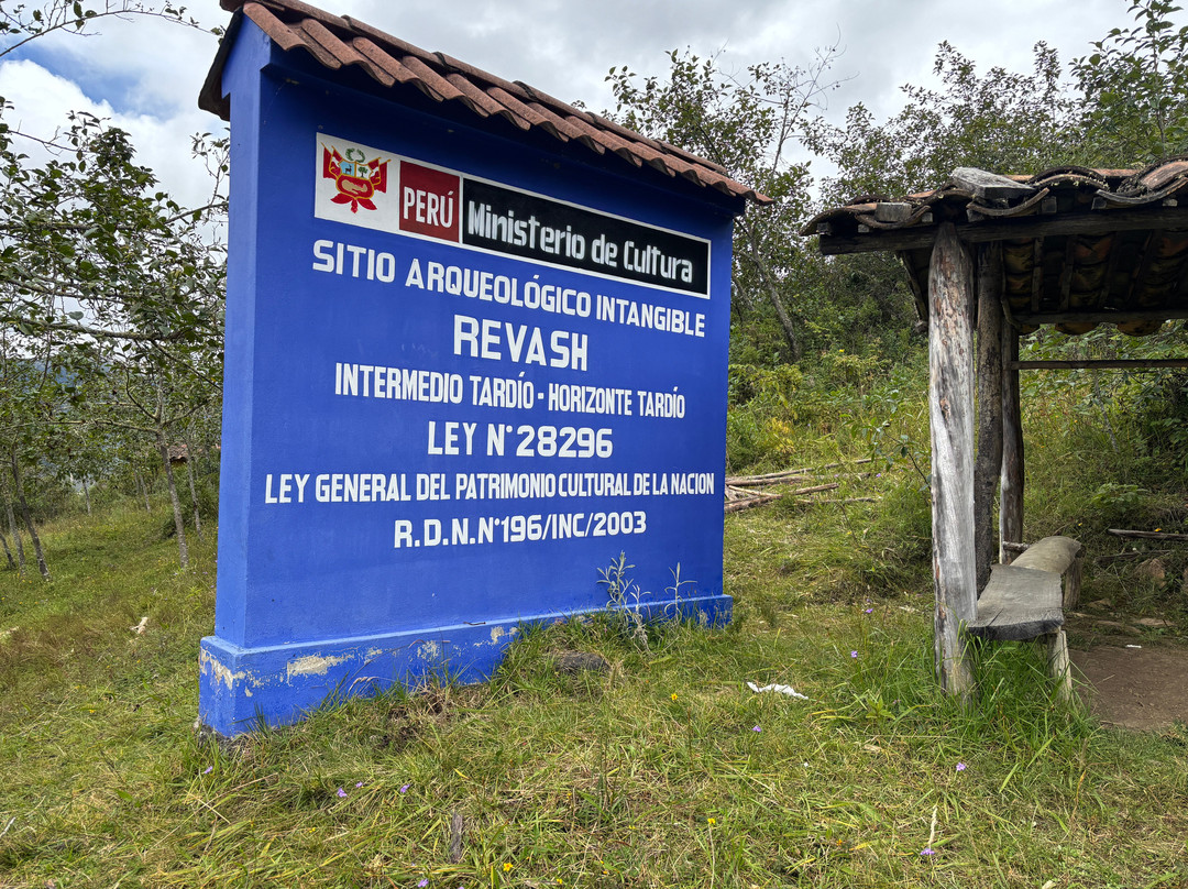Revash Mausoleo de los Chachapoyas-Chachapoyas必去景点