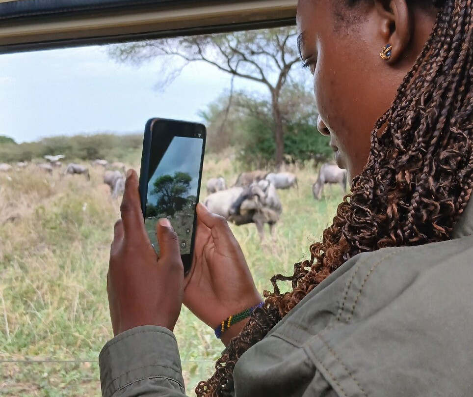 Tarangire National Park-塔兰吉雷国家公园必去景点