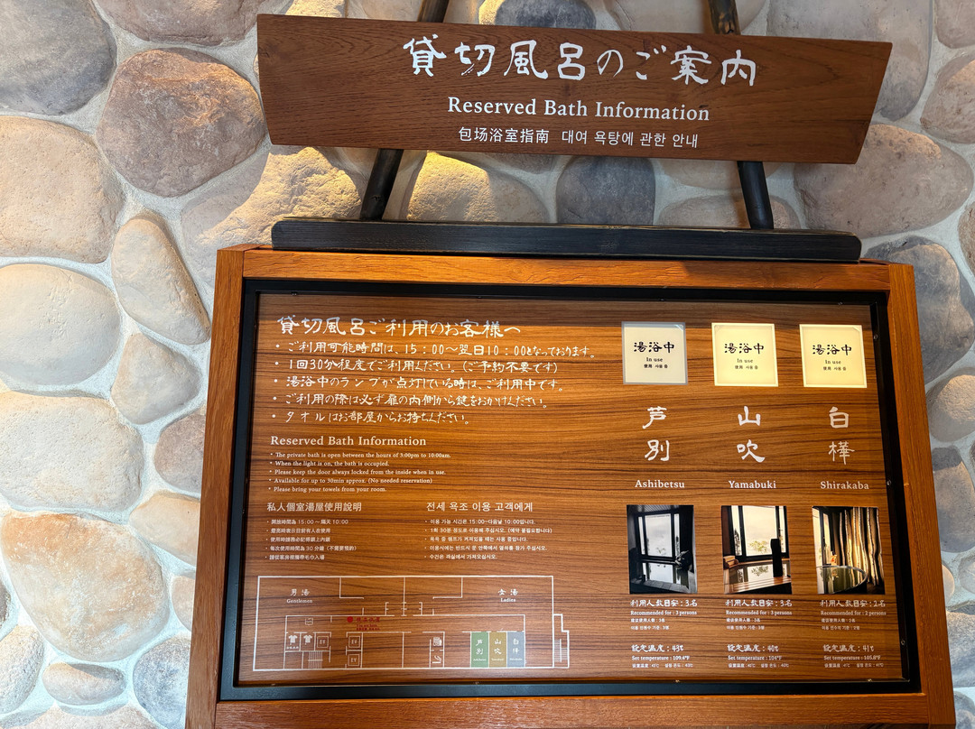 北海道富良野拉维斯塔天然温泉酒店(多美迎・御宿野乃 酒店集团)主图
