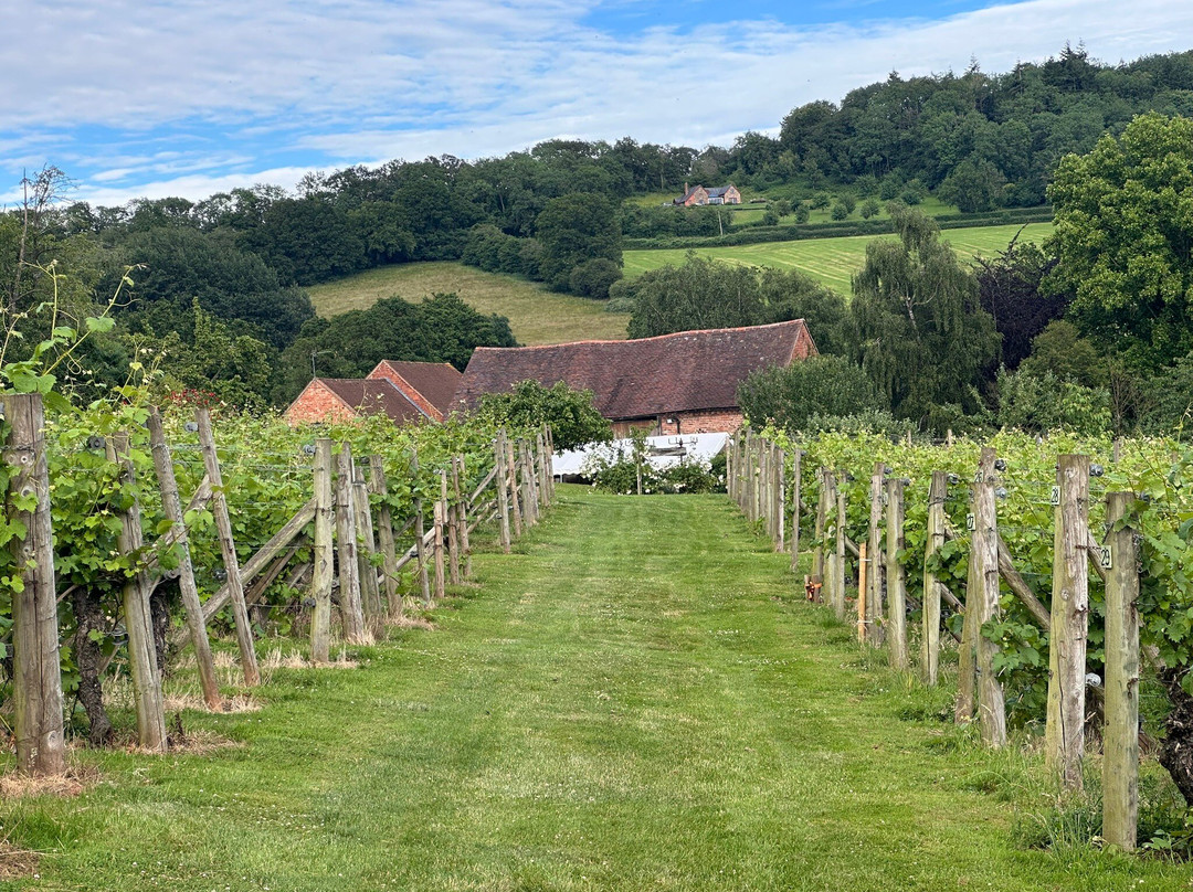 Coddington Vineyard-Ledbury必去景点